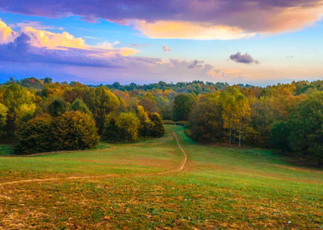 Trail at Cherokee Park in Louisville, Kentucky